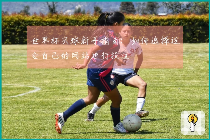 世界杯买球新手指南：如何选择适合自己的网站进行投注