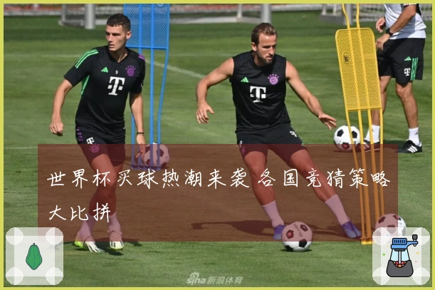 世界杯买球热潮来袭 各国竞猜策略大比拼