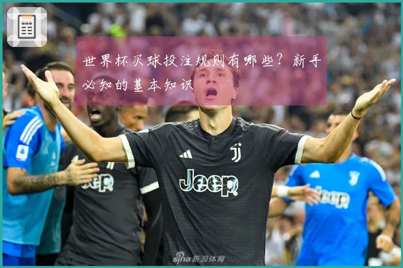世界杯买球投注规则有哪些？新手必知的基本知识