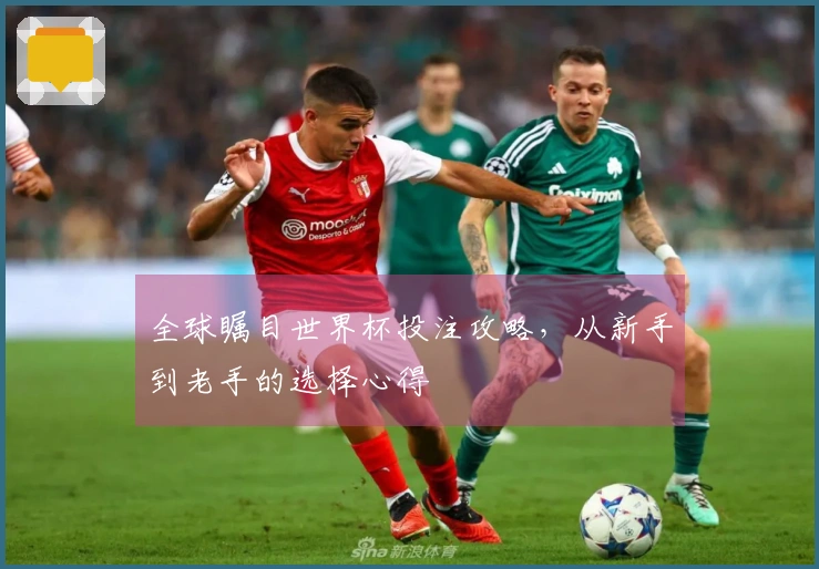 全球瞩目世界杯投注攻略，从新手到老手的选择心得