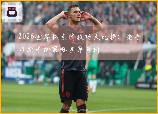 2026世界杯竞猜技巧大比拼：老手与新手的策略差异分析