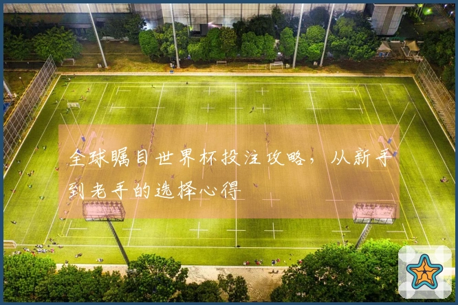 全球瞩目世界杯投注攻略，从新手到老手的选择心得
