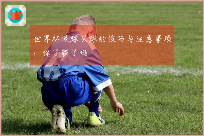 世界杯滚球买球的技巧与注意事项，你了解了吗