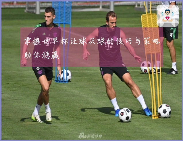 掌握世界杯让球买球的技巧与策略助你稳赢